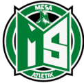 Mesa Football Academy