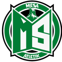 Mesa Football Academy